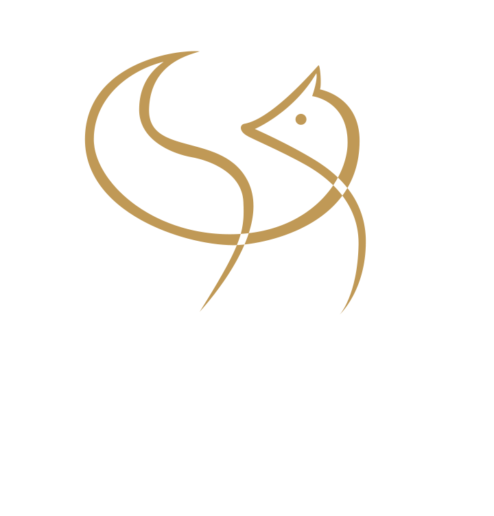 Logo VOLPE